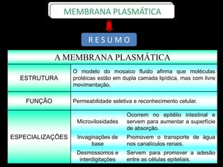 A MEMBRANA PLASMÁTICA
ESTRUTURA
O modelo do mosaico fluido afirma que moléculas
protéicas estão em dupla camada lipídica, mas com livre
movimentação.
FUNÇÃO Permeabilidade seletiva e reconhecimento celular.
ESPECIALIZAÇÕES
Microvilosidades
Ocorrem no epitélio intestinal e
servem para aumentar a superfície
de absorção.
Invaginações de
base
Promovem o transporte de água
nos canalículos renais.
Desmossomos e
interdigitações
Servem para promover a adesão
entre as células epiteliais.
R E S U M O
MEMBRANA PLASMÁTICA
 
