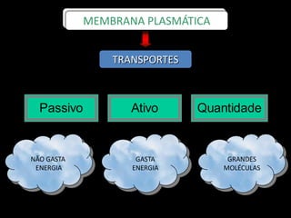 NÃO GASTA
ENERGIA
GRANDES
MOLÉCULAS
GASTA
ENERGIA
Passivo Ativo Quantidade
TRANSPORTES
MEMBRANA PLASMÁTICA
 