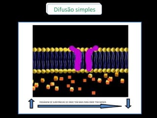 Difusão simples
PASSAGEM DE SUBSTÂNCIAS DE ONDE TEM MAIS PARA ONDE TEM MENOS
 