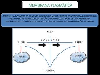 OSMOSE: É A PASSAGEM DO SOLVENTE (LÍQUIDO) DO MEIO DE MENOR CONCENTRAÇÃO (HIPOTÔNICO)
PARA O MEIO DE MAIOR CONCENTRA-ÇÃO (HIPERTÔNICO) ATRAVÉS DE UMA MEMBRANA
SEMIPERMEÁVEL ATÉ O ESTABELECIMENTO DE UMA IGUALDADE DE CONCENTRAÇÕES (ISOTONIA)
Perde Ganha
Hipo Hiper
ISOTONIA
S O L V E N T E
M.S.P
MEMBRANA PLASMÁTICA
 