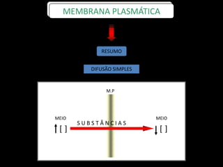 RESUMO
DIFUSÃO SIMPLES
MEMBRANA PLASMÁTICA
M.P
S U B S T Â N C I A S
MEIO MEIO
][ ][
 