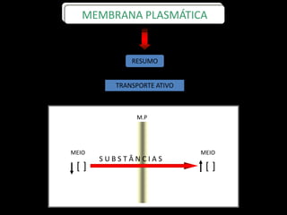 RESUMO
TRANSPORTE ATIVO
MEMBRANA PLASMÁTICA
M.P
S U B S T Â N C I A S
MEIO
][
MEIO
][
 