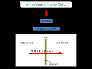 RESUMO
DIFUSÃO FACILITADA
MEMBRANA PLASMÁTICA
M.P
M O L É C U L A S
PERMEASE
MEIO INTERNOMEIO EXTERNO
 
