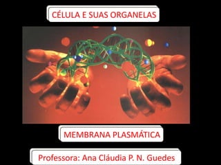 CÉLULA E SUAS ORGANELAS
MEMBRANA PLASMÁTICA
Professora: Ana Cláudia P. N. Guedes
 