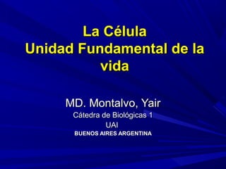 La CélulaLa Célula
Unidad Fundamental de laUnidad Fundamental de la
vidavida
MD. Montalvo, YairMD. Montalvo, Yair
Cátedra de Biológicas 1Cátedra de Biológicas 1
UAIUAI
BUENOS AIRES ARGENTINABUENOS AIRES ARGENTINA
 