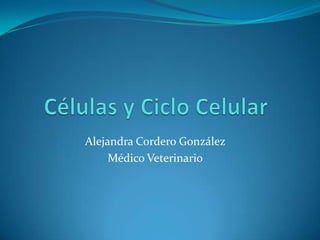 Alejandra Cordero González
Médico Veterinario

 
