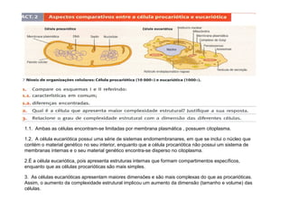 1.1. Ambas as células encontram-se limitadas por membrana plasmática , possuem citoplasma.
1.2. A célula eucariótica possui uma série de sistemas endomembranares, em que se inclui o núcleo que
contém o material genético no seu interior, enquanto que a célula procariótica não possui um sistema de
membranas internas e o seu material genético encontra-se disperso no citoplasma.
2.É a célula eucariótica, pois apresenta estruturas internas que formam compartimentos específicos,
enquanto que as células procarióticas são mais simples.
3. As células eucarióticas apresentam maiores dimensões e são mais complexas do que as procarióticas.
Assim, o aumento da complexidade estrutural implicou um aumento da dimensão (tamanho e volume) das
células.

 