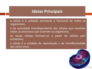 







a célula é a unidade estrutural e funcional de todos os
organismos,
é da actividade interdependente das células que resultam
todos os processos que ocorrem no organismo;
as novas células formam-se a partir de células préexistentes;
a célula é a unidade de reprodução e de hereditariedade
dos seres vivos.

Nuno Correia 11/12

 