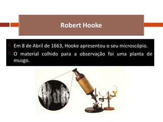 


Em 8 de Abril de 1663, Hooke apresentou o seu microscópio.
O material colhido para a observação foi uma planta de
musgo.

 