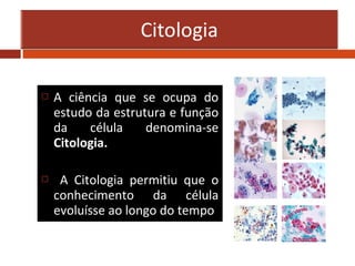 



A ciência que se ocupa do
estudo da estrutura e função
da
célula
denomina-se
Citologia.
A Citologia permitiu que o
conhecimento da célula
evoluísse ao longo do tempo

 