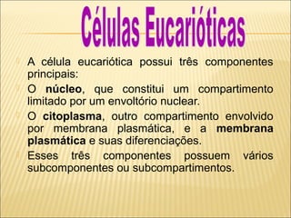





A célula eucariótica possui três componentes
principais:
O núcleo, que constitui um compartimento
limitado por um envoltório nuclear.
O citoplasma, outro compartimento envolvido
por membrana plasmática, e a membrana
plasmática e suas diferenciações.
Esses três componentes possuem vários
subcomponentes ou subcompartimentos.

 