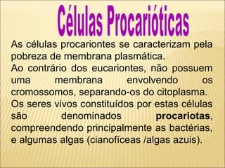 As células procariontes se caracterizam pela
pobreza de membrana plasmática.
Ao contrário dos eucariontes, não possuem
uma
membrana
envolvendo
os
cromossomos, separando-os do citoplasma.
Os seres vivos constituídos por estas células
são
denominados
procariotas,
compreendendo principalmente as bactérias,
e algumas algas (cianofíceas /algas azuis).

 