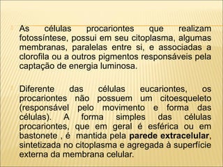 

As
células
procariontes
que
realizam
fotossíntese, possui em seu citoplasma, algumas
membranas, paralelas entre si, e associadas a
clorofila ou a outros pigmentos responsáveis pela
captação de energia luminosa.



Diferente
das
células
eucariontes,
os
procariontes não possuem um citoesqueleto
(responsável pelo movimento e forma das
células). A forma simples das células
procariontes, que em geral é esférica ou em
bastonete , é mantida pela parede extracelular,
sintetizada no citoplasma e agregada à superfície
externa da membrana celular.

 