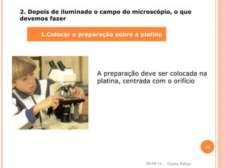 1. 1.Colocar a preparação sobre a platina
2. Depois de iluminado o campo do microscópio, o que
devemos fazer
A preparação deve ser colocada na
platina, centrada com o orifício
05-06-14
10
Carlos Palma
 