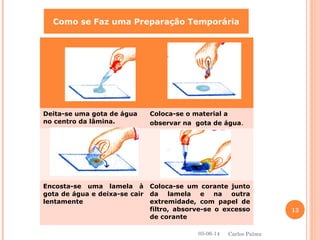 Como se Faz uma Preparação Temporária
Deita-se uma gota de água
no centro da lâmina.
Coloca-se o material a
observar na gota de água.
Encosta-se uma lamela à
gota de água e deixa-se cair
lentamente
Coloca-se um corante junto
da lamela e na outra
extremidade, com papel de
filtro, absorve-se o excesso
de corante
05-06-14
13
Carlos Palma
 