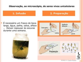  É necessário um frasco de boca
larga, água, palha, salsa, alface
… Deixar repousar ás escuras
durante uma semana.
1. Infusão 2. Preparação
Observação, ao microscópio, de seres vivos unicelulares
05-06-14
20
Carlos Palma
 
