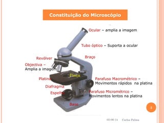 Constituição do Microscópio
Ocular – amplia a imagem
Tubo óptico – Suporta a ocular
Braço
Parafuso Macrométrico –
Movimentos rápidos na platina
Parafuso Micrométrico –
Movimentos lentos na platina
Base
Espelho
Diafragma
Platina
Objectiva –
Amplia a imagem
Revólver
Pinça
05-06-14
5
Carlos Palma
 