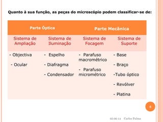 Parte Óptica Parte Mecânica
Sistema de
Ampliação
Sistema de
Iluminação
Sistema de
Focagem
Sistema de
Suporte
- Objectiva
- Ocular
- Espelho
- Diafragma
- Condensador
- Parafuso
macrométrico
- Parafuso
micrométrico
- Base
- Braço
-Tubo óptico
- Revólver
- Platina
Quanto à sua função, as peças do microscópio podem classificar-se de:
05-06-14
6
Carlos Palma
 