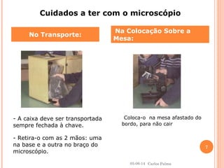 No Transporte:
Na Colocação Sobre a
Mesa:
Cuidados a ter com o microscópio
- A caixa deve ser transportada
sempre fechada à chave.
- Retira-o com as 2 mãos: uma
na base e a outra no braço do
microscópio.
Coloca-o na mesa afastado do
bordo, para não cair
05-06-14
7
Carlos Palma
 