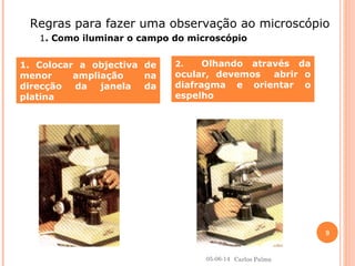 1. Colocar a objectiva de
menor ampliação na
direcção da janela da
platina
2. Olhando através da
ocular, devemos abrir o
diafragma e orientar o
espelho
Regras para fazer uma observação ao microscópio
1. Como iluminar o campo do microscópio
05-06-14
9
Carlos Palma
 