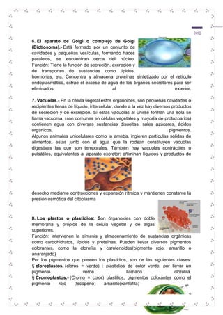 6. El aparato de Golgi o complejo de Golgi 
(Dictiosoma).- Está formado por un conjunto de 
cavidades y pequeñas vesículas, formando haces 
paralelos, se encuentran cerca del núcleo. 
Función: Tiene la función de secreción, excreción y 
de transportes de sustancias como lípidos, 
hormonas, etc. Concentra y almacena proteínas sintetizado por el retículo 
endoplasmático, extrae el exceso de agua de los órganos secretores para ser 
eliminados al exterior. 
7. Vacuolas.- En la célula vegetal estos organoides, son pequeñas cavidades o 
recipientes llenas de líquido, intercelular, donde a la vez hay diversos productos 
de secreción y de excreción. Si estas vacuolas al unirse forman una sola se 
llama vacuoma. (son comunes en células vegetales y mayoría de protozoarios) 
contienen agua con diversas sustancias disueltas, sales azúcares, ácidos 
orgánicos, pigmentos. 
Algunos animales unicelulares como la ameba, ingieren partículas sólidas de 
alimentos, estas junto con el agua que la rodean constituyen vacuolas 
digestivas las que son temporales. También hay vacuolas contráctiles ó 
pulsátiles, equivalentes al aparato excretor: eñiminan líquidos y productos de 
desecho mediante contracciones y expansión rítmica y mantienen constante la 
presión osmótica del citoplasma 
8. Los plastos o plastidios: Son órganoides con doble 
membrana y propios de la célula vegetal y de algas 
superiores. 
Función: intervienen la síntesis y almacenamiento de sustancias orgánicas 
como carbohidratos, lípidos y proteínas. Pueden llevar diversos pigmentos 
colorantes, como la clorofila y carotenoides(pigmento rojo, amarillo o 
anaranjado) 
Por los pigmentos que poseen los plastidios, son de las siguientes clases: 
§ cloroplastos. (cloros = verde) : plastidios de color verde, por llevar un 
pigmento verde llamado clorofila. 
§ Cromoplastos.- (Cromo = color) plastillos, pigmentos colorantes como el 
pigmento rojo (lecopeno) amarillo(xantofila) 
9 
 