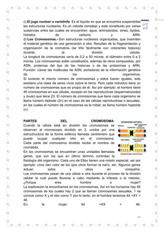 c) El jugo nuclear o cariolinfa: Es el líquido en que se encuentra suspendidas 
las estructuras nucleares. Es un coloide complejo y está constituido por varias 
sustancias entre las cuales se encuentran: agua, aminoácidos, iones, lípidos, 
hidratos de carbono y ARN. 
d) Los Cromosomas.- Son estructuras nucleares organizadas, que trasmiten 
el material genético de una generación a otra. Resultan de la fragmentación y 
organización de la cromatina (se tiñe fácilmente con colorantes básicos) 
durante la división celular. 
La longitud de cromosomas varía de 0,2 a 50 micras, el diámetro entre 0 a 2 
micras. Los cromosomas están constituidos, además de otros compuestos, por 
ADN, proteínas del tipo de las histonas o de las protaminas y ARN. 
Función: Llevar las moléculas de ADN, portadoras de la información genética 
de los organismos. 
Si tuvieran el mismo número de cromosomas y estos fueran iguales, solo 
existiera una clase de seres vivos sobre la tierra. Pero cada individuo tiene un 
número de cromosomas que es propio de él. Así por ejemplo: el hombre tiene 
46 cromosomas en sus células, excepto en las reproductivas (espermatozoides 
y óvulo) que tiene 23. El número de cromosomas que tiene cada organismo se 
llama número diploide (2n) en el caso de las células reproductivas o sexuales, 
en las cuales el número de cromosomas es la mitad, se llama número haploide 
(n). 
PARTES DEL CROMOSOMA: 
Cuando la célula está en división los cromosomas se 
observan al microscopio dividido en 2, unidos por una 
estructructura de la forma esférica llamada centrómero que 
puede ocupar cualquier sitio en el cromosoma. 
Cada parte del cromosoma dividido recibe el nombre de 
cromátida. 
En los cromosomas se encuentran unas unidades llamadas 
genes, que son los que en último término controlan la 
fisiología del organismo. Cada uno de Ellos tienen una misión especial, así por 
ejemplo: unos dan color de los ojos otros forman la naríz, etc. Algunos genes 
actuan solos y otros en compañía. 
Los cromosomas pasan de una célula a otra durante el proceso de la división 
celular la cual puede llevarse a cabo mediante la mitosisi o la meiosis. 
¿Porque eres hombre o mujer? 
La explicación la encontramos en los cromosomas. Así en los humanos hay 46 
cromosomas de los cuales hay 2 que se llaman cromosomas sexuales, 1 se 
conoce como X y el otro como Y por lo tanto, en el hombre tenemos 44 +XY = 
46. 
En la mujer 44 +XX = 46. 
11 
 