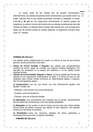 La mayor parte de las células son de tamaño microscópico. 
Generalmente, las células procariotas tienen dimensiones que oscilan entre 1 y 
2 μm mientras que en las células eucariotas, animales y vegetales, lo hacen 
entre 10 y 30 μm. En los organismos pluricelulares el tamaño global del 
organismo no está en función del tamaño de sus células constituyentes sino del 
número de éstas: un elefante tiene muchas más células que una hormiga pero 
éstas son de tamaño similar en ambas especies; el organismo humano tiene 
unas 1014 células. 
FORMAS DE CÉLULA 
Las células varían notablemente en cuanto a su forma, la que de una manera 
general, puede producirse a dos tipos: 
 Célula de Forma Variable o Regular.- son células que constantemente 
cambian de forma, según se cumplan sus diversos estados fisiológicos. Por 
ejemplo, los leucocitos en la sangre son esféricos y en los tejidos toman 
diversas formas. 
 Células de Forma Estable, Regular o Típica.- la forma estable que forman las 
células en los organismos multicelulares se debe a la forma en que se han 
adaptado para cumplir ciertas funciones en determinados tejidos u órganos. 
Son de las siguientes clases: 
a) Isopiametrica.- son las que tienen sus tres dimensiones iguales casi 
iguales. Pueden ser: 
- Esféricas, como óvulos y los cocos (bacterias) 
- Ovoides, como las levaduras 
- Cúbicas, como en el folículo tiroideo. 
b) Aplanadas.- sus dimensiones son mayores que su grosor. Generalmente 
forman tejidos de revestimiento, como las células epiteliales-c) 
Alargadas.-en las cuales un eje es mayor que los otros dos. Estas células 
forman parte de ciertas mucosas que tapizan el tubo digestivo; otro ejemplo 
tenemos en las fibras musculares. 
d) Estrelladas.- como las neuronas, dotados de varios apéndices o 
prolongaciones que le dan un aspecto estrellado. 
13 
TAMAÑO DE CÉLULA: 
 