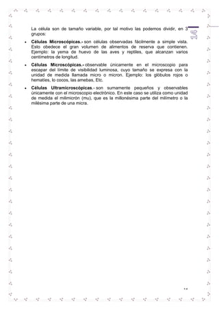 La célula son de tamaño variable, por tal motivo las podemos dividir, en 3 
grupos: 
 Células Microscópicas.- son células observadas fácilmente a simple vista. 
Esto obedece el gran volumen de alimentos de reserva que contienen. 
Ejemplo: la yema de huevo de las aves y reptiles, que alcanzan varios 
centímetros de longitud. 
 Células Microscópicas.- observable únicamente en el microscopio para 
escapar del límite de visibilidad luminosa, cuyo tamaño se expresa con la 
unidad de medida llamada micro o micron. Ejemplo: los glóbulos rojos o 
hematíes, lo cocos, las amebas, Etc. 
 Células Ultramicroscópicas.- son sumamente pequeños y observables 
únicamente con el microscopio electrónico. En este caso se utiliza como unidad 
de medida el milimicrón (mu), que es la millonésima parte del milímetro o la 
milésima parte de una micra. 
14 
 