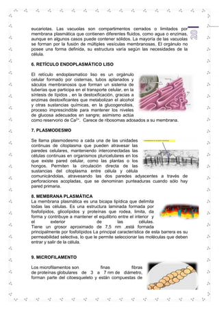 eucariotas. Las vacuolas son compartimentos cerrados o limitados por 
membrana plasmática que contienen diferentes fluidos, como agua o enzimas, 
aunque en algunos casos puede contener sólidos. La mayoría de las vacuolas 
se forman por la fusión de múltiples vesículas membranosas. El orgánulo no 
posee una forma definida, su estructura varía según las necesidades de la 
célula. 
20 
6. RETÍCULO ENDOPLASMÁTICO LISO 
El retículo endoplasmatico liso es un orgánulo 
celular formado por cisternas, tubos aplanados y 
sáculos membranosos que forman un sistema de 
tuberías que participa en el transporte celular, en la 
síntesis de lípidos , en la destoxificación, gracias a 
enzimas destoxificantes que metabolizan el alcohol 
y otras sustancias químicas, en la glucogenolisis, 
proceso imprescindible para mantener los niveles 
de glucosa adecuados en sangre; asimismo actúa 
como reservorio de Ca2+. Carece de ribosomas adosados a su membrana. 
7. PLASMODESMO 
Se llama plasmodesmo a cada una de las unidades 
continuas de citoplasma que pueden atravesar las 
paredes celulares, manteniendo interconectadas las 
células continuas en organismos pluricelulares en los 
que existe pared celular, como las plantas o los 
hongos. Permiten la circulación directa de las 
sustancias del citoplasma entre célula y célula 
comunicándolas, atravesando las dos paredes adyacentes a través de 
perforaciones acopladas, que se denominan punteaduras cuando sólo hay 
pared primaria. 
8. MEMBRANA PLASMÁTICA 
La membrana plasmática es una bicapa lipídica que delimita 
todas las células. Es una estructura laminada formada por 
fosfolípidos, glicolípidos y proteínas que rodea, limita, da 
forma y contribuye a mantener el equilibrio entre el interior y 
el exterior de las células. 
Tiene un grosor aproximado de 7,5 nm ,está formada 
principalmente por fosfolípidos La principal característica de esta barrera es su 
permeabilidad selectiva, lo que le permite seleccionar las moléculas que deben 
entrar y salir de la célula. 
9. MICROFILAMENTO 
Los microfilamentos son finas fibras 
de proteínas globulares de 3 a 7 nm de diámetro, 
forman parte del citoesqueleto y están compuestas de 
 
