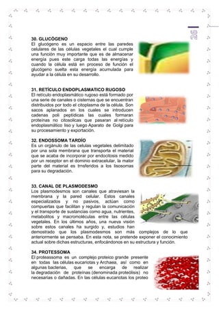 26 
30. GLUCÓGENO 
El glucógeno es un espacio entre las paredes 
celulares de las células vegetales el cual cumple 
una función muy importante que es de almacenar 
energía pues este carga todas las energías y 
cuando la célula está en proceso de función el 
glucógeno suelta esta energía acumulada para 
ayudar a la célula en su desarrollo. 
31. RETÍCULO ENDOPLASMATICO RUGOSO 
El retículo endoplasmático rugoso está formado por 
una serie de canales o cisternas que se encuentran 
distribuidos por todo el citoplasma de la célula. Son 
sacos aplanados en los cuales se introducen 
cadenas poli peptídicas las cuales formaran 
proteínas no citosolicas que pasaran al retículo 
endoplasmático liso y luego Aparato de Golgi para 
su procesamiento y exportación. 
32. ENDOSSOMA TARDÍO 
Es un orgánulo de las celulas vegetales delimitado 
por una sola membrana que transporta el material 
que se acaba de incorporar por endocitosis medido 
por un receptor en el dominio extracelular, la mator 
parte del material es trnsferidos a los lisosomas 
para su degradación. 
33. CANAL DE PLASMODESMO 
Los plasmodesmos son canales que atraviesan la 
membrana y la pared celular. Estos canales 
especializados y no pasivos, actúan como 
compuertas que facilitan y regulan la comunicación 
y el transporte de sustancias como agua, nutrientes, 
metabolitos y macromoléculas entre las células 
vegetales. En los últimos años, una nueva visión 
sobre estos canales ha surgido y, estudios han 
demostrado que los plasmodesmos son más complejos de lo que 
anteriormente se pensaba. En esta nota, se pretende exponer el conocimiento 
actual sobre dichas estructuras, enfocándonos en su estructura y función. 
34. PROTESSOMA 
El proteassoma es un complejo proteico grande presente 
en todas las células eucariotas y Archaea, así como en 
algunas bacterias, que se encarga de realizar 
la degradación de proteínas (denominada proteólisis) no 
necesarias o dañadas. En las células eucariotas los proteo 
 