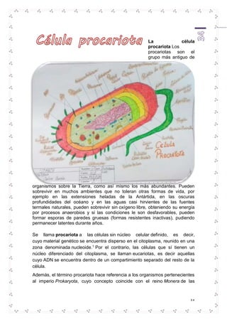 La célula 
procariota Los 
procariotas son el 
grupo más antiguo de 
organismos sobre la Tierra, como así mismo los más abundantes. Pueden 
sobrevivir en muchos ambientes que no toleran otras formas de vida, por 
ejemplo en las extensiones heladas de la Antártida, en las oscuras 
profundidades del océano y en las aguas casi hirvientes de las fuentes 
termales naturales, pueden sobrevivir sin oxígeno libre, obteniendo su energía 
por procesos anaerobios y si las condiciones le son desfavorables, pueden 
formar esporas de paredes gruesas (formas resistentes inactivas), pudiendo 
permanecer latentes durante años. 
Se llama procariota a las células sin núcleo celular definido, es decir, 
cuyo material genético se encuentra disperso en el citoplasma, reunido en una 
zona denominada nucleoide.1 Por el contrario, las células que sí tienen un 
núcleo diferenciado del citoplasma, se llaman eucariotas, es decir aquellas 
cuyo ADN se encuentra dentro de un compartimiento separado del resto de la 
célula. 
Además, el término procariota hace referencia a los organismos pertenecientes 
al imperio Prokaryota, cuyo concepto coincide con el reino Monera de las 
34 
 
