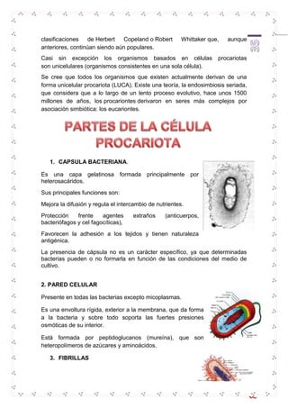 clasificaciones de Herbert Copeland o Robert Whittaker que, aunque 
anteriores, continúan siendo aún populares. 
Casi sin excepción los organismos basados en células procariotas 
son unicelulares (organismos consistentes en una sola célula). 
Se cree que todos los organismos que existen actualmente derivan de una 
forma unicelular procariota (LUCA). Existe una teoría, la endosimbiosis seriada, 
que considera que a lo largo de un lento proceso evolutivo, hace unos 1500 
millones de años, los procariontes derivaron en seres más complejos por 
asociación simbiótica: los eucariontes. 
35 
1. CAPSULA BACTERIANA. 
Es una capa gelatinosa formada principalmente por 
heterosacáridos. 
Sus principales funciones son: 
Mejora la difusión y regula el intercambio de nutrientes. 
Protección frente agentes extraños (anticuerpos, 
bacteriófagos y cel fagocíticas), 
Favorecen la adhesión a los tejidos y tienen naturaleza 
antigénica. 
La presencia de cápsula no es un carácter específico, ya que determinadas 
bacterias pueden o no formarla en función de las condiciones del medio de 
cultivo. 
2. PARED CELULAR 
Presente en todas las bacterias excepto micoplasmas. 
Es una envoltura rígida, exterior a la membrana, que da forma 
a la bacteria y sobre todo soporta las fuertes presiones 
osmóticas de su interior. 
Está formada por peptidoglucanos (mureína), que son 
heteropolímeros de azúcares y aminoácidos. 
3. FIBRILLAS 
 
