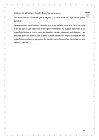 45 
órganos de adhesión y fijación. Son muy numerosos. 
Se observan en bacterias gram negativo, y raramente en organismos gram 
positivo. 
Se encuentran localizados o bien dispersos por toda la superficie de la bacteria 
o en los polos. Las bacterias que no poseen fimbrias no pueden adherirse a su 
superficie blanca y por lo tanto no pueden causar trastornos patológicos. Las 
fimbrias poseen lectinas las cuales pueden reconocer oligosacáridos en las 
superficies celulares y ayudan a la fijación específica de las bacterias en sus 
células blancas. 
