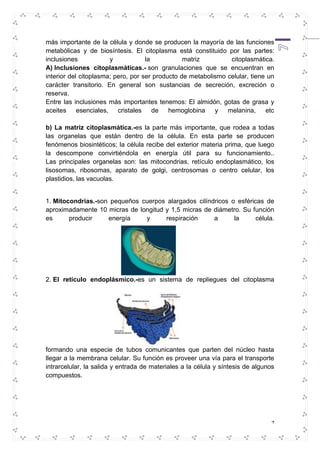 más importante de la célula y donde se producen la mayoría de las funciones 
metabólicas y de biosíntesis. El citoplasma está constituido por las partes: 
inclusiones y la matriz citoplasmática. 
A) Inclusiones citoplasmáticas.- son granulaciones que se encuentran en 
interior del citoplasma; pero, por ser producto de metabolismo celular, tiene un 
carácter transitorio. En general son sustancias de secreción, excreción o 
reserva. 
Entre las inclusiones más importantes tenemos: El almidón, gotas de grasa y 
aceites esenciales, cristales de hemoglobina y melanina, etc 
b) La matriz citoplasmática.-es la parte más importante, que rodea a todas 
las organelas que están dentro de la célula. En esta parte se producen 
fenómenos biosintéticos; la célula recibe del exterior materia prima, que luego 
la descompone convirtiéndola en energía útil para su funcionamiento.. 
Las principales organelas son: las mitocondrias, retículo endoplasmático, los 
lisosomas, ribosomas, aparato de golgi, centrosomas o centro celular, los 
plastidios, las vacuolas. 
1. Mitocondrias.-son pequeños cuerpos alargados cilíndricos o esféricas de 
aproximadamente 10 micras de longitud y 1,5 micras de diámetro. Su función 
es producir energía y respiración a la célula. 
2. El retículo endoplásmico.-es un sistema de repliegues del citoplasma 
formando una especie de tubos comunicantes que parten del núcleo hasta 
llegar a la membrana celular. Su función es proveer una vía para el transporte 
intrarcelular, la salida y entrada de materiales a la célula y síntesis de algunos 
compuestos. 
7 
 
