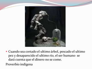  Cuando sea cortado el ultimo árbol, pescado el ultimo 
pez y desaparecido el ultimo rio, el ser humano se 
dará cuenta que el dinero no se come. 
Proverbio indígena 
