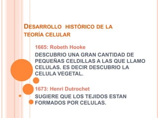 DESARROLLO HISTÓRICO DE LA 
TEORÍA CELULAR 
1665: Robeth Hooke 
DESCUBRIO UNA GRAN CANTIDAD DE 
PEQUEÑAS CELDILLAS A LAS QUE LLAMO 
CELULAS. ES DECIR DESCUBRIO LA 
CELULA VEGETAL. 
1673: Henri Dutrochet 
SUGIERE QUE LOS TEJIDOS ESTAN 
FORMADOS POR CELULAS. 
 