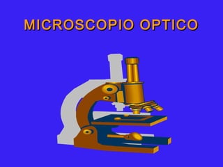 MICROSCOPIO OPTICOMICROSCOPIO OPTICO
 