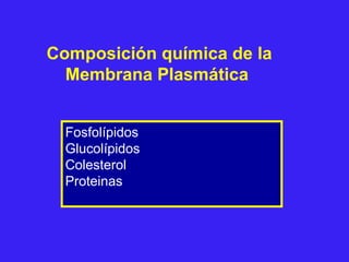 Composición química de la
Membrana Plasmática
Fosfolípidos
Glucolípidos
Colesterol
Proteinas
 