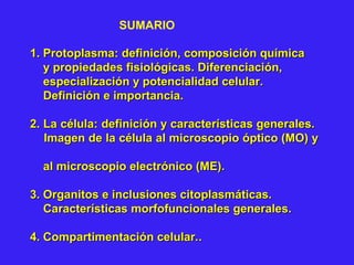 1. Protoplasma: definición, composición química1. Protoplasma: definición, composición química
y propiedades fisiológicas. Diferenciación,y propiedades fisiológicas. Diferenciación,
especialización y potencialidad celular.especialización y potencialidad celular.
Definición e importancia.Definición e importancia.
2. La célula: definición y características generales.2. La célula: definición y características generales.
Imagen de la célula al microscopio óptico (MO) yImagen de la célula al microscopio óptico (MO) y
al microscopio electrónico (ME).al microscopio electrónico (ME).
3. Organitos e inclusiones citoplasmáticas.3. Organitos e inclusiones citoplasmáticas.
Características morfofuncionales generales.Características morfofuncionales generales.
4. Compartimentación celular.4. Compartimentación celular...
SUMARIO
 