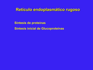 Retículo endoplasmático rugosoRetículo endoplasmático rugoso
Síntesis de proteínas
Síntesis inicial de Glucoproteínas
 