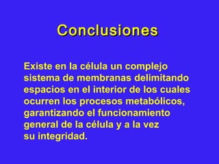 ConclusionesConclusiones
Existe en la célula un complejo
sistema de membranas delimitando
espacios en el interior de los cuales
ocurren los procesos metabólicos,
garantizando el funcionamiento
general de la célula y a la vez
su integridad.
 