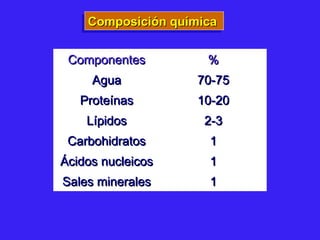 Composición químicaComposición químicaComposición químicaComposición química
ComponentesComponentes %%
AguaAgua 70-7570-75
ProteínasProteínas 10-2010-20
LípidosLípidos 2-32-3
CarbohidratosCarbohidratos 11
Ácidos nucleicosÁcidos nucleicos 11
Sales mineralesSales minerales 11
 