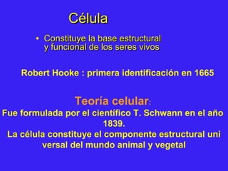CélulaCélula
• Constituye la base estructuralConstituye la base estructural
y funcional de los seres vivosy funcional de los seres vivos
Teoría celular:
Fue formulada por el científico T. Schwann en el año
1839.
La célula constituye el componente estructural uni
versal del mundo animal y vegetal
Robert Hooke : primera identificación en 1665
 