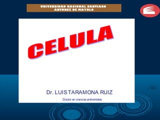 PRONAMACHCS
Dr. LUISTARAMONA RUIZ
Doctor en cienciasambientales
UNIVERSIDAD NACIONAL SANTIAGO
ANTUNEZ DE MAYOLO
 