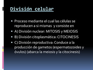División celular
 Proceso mediante el cual las células se
reproducen a si mismas y consiste en
 A) División nuclear: MITOSIS y MEIOSIS
 B) División citoplasmática: CITOCINESIS
 C) División reproductiva: Conduce a la
producción de gametos (espermatozoides y
óvulos) (abarca la meiosis y la citocinesis)
 