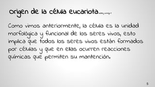 Origen de la célula eucariotaashley cornejo 9
Como vimos anteriormente, la célula es la unidad
morfológica y funcional de los seres vivos, esto
implica que todos los seres vivos están formados
por células y que en ellas ocurren reacciones
químicas que permiten su mantención.
5
 