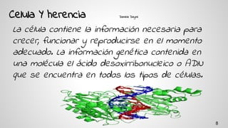 Celula Y herencia Daniela Dayne
La célula contiene la información necesaria para
crecer, funcionar y reproducirse en el momento
adecuado. La información genética contenida en
una molécula el ácido desoxirribonucleico o ADN
que se encuentra en todos los tipos de células.
8
 