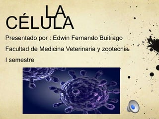 LA
CÉLULA
Presentado por : Edwin Fernando Buitrago
Facultad de Medicina Veterinaria y zootecnia
I semestre
 