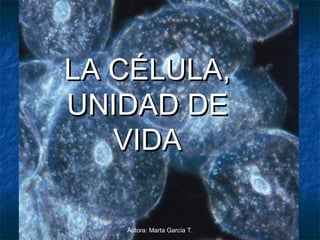 LA CÉLULA,LA CÉLULA,
UNIDAD DEUNIDAD DE
VIDAVIDA
Autora: Marta García T.
 