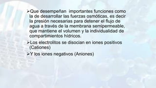 Que desempeñan importantes funciones como
la de desarrollar las fuerzas osmóticas, es decir
la presión necesarias para detener el flujo de
agua a través de la membrana semipermeable,
que mantiene el volumen y la individualidad de
compartimientos hídricos.
Los electrolitos se disocian en iones positivos
(Cationes)
Y los iones negativos (Aniones)
 
